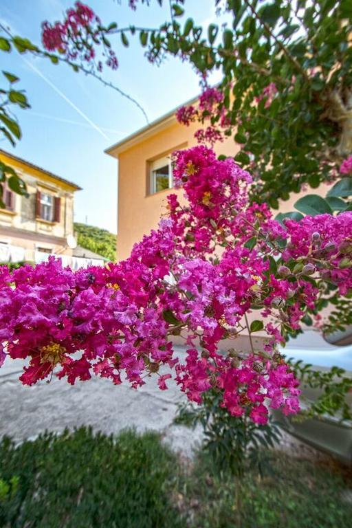 Apartman Nena Crikvenica Exterior foto